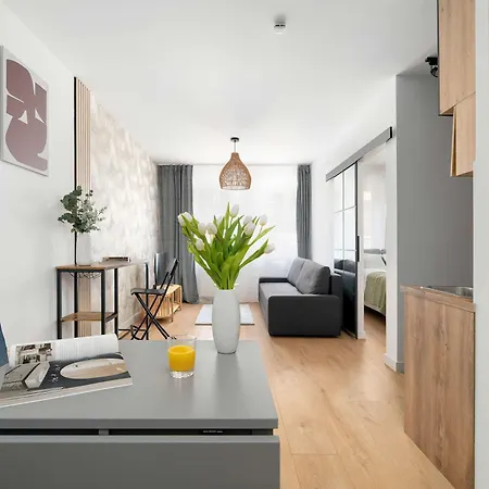 Apartament Jasny Z Parkingiem W Centrum Poznania By Renters *