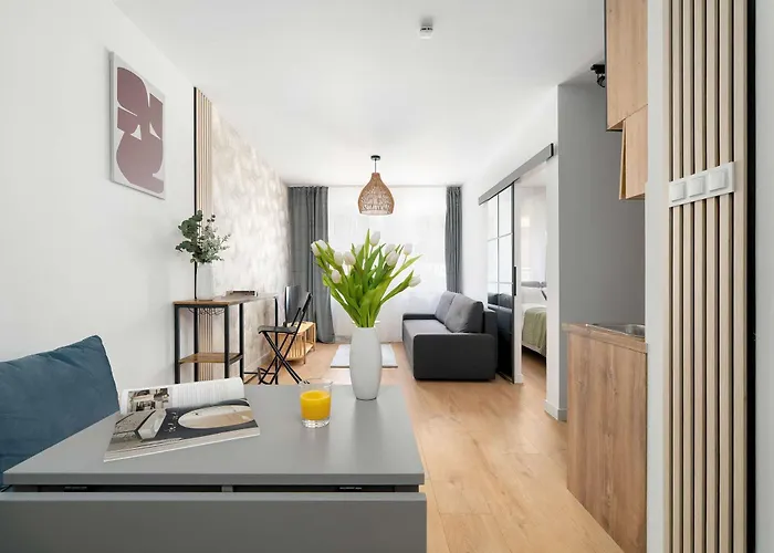 Apartment Jasny Z Parkingiem W Centrum Poznania By Renters *