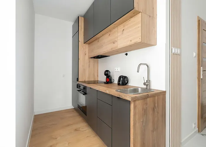 Jasny Z Parkingiem W Centrum Poznania By Renters * Poznan