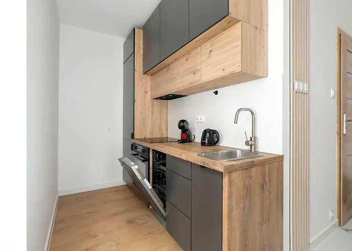 Jasny Z Parkingiem W Centrum Poznania By Renters Posen